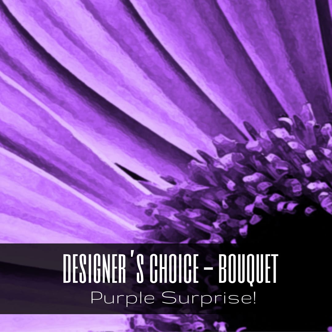 Purple Surprise - Designer's Choice