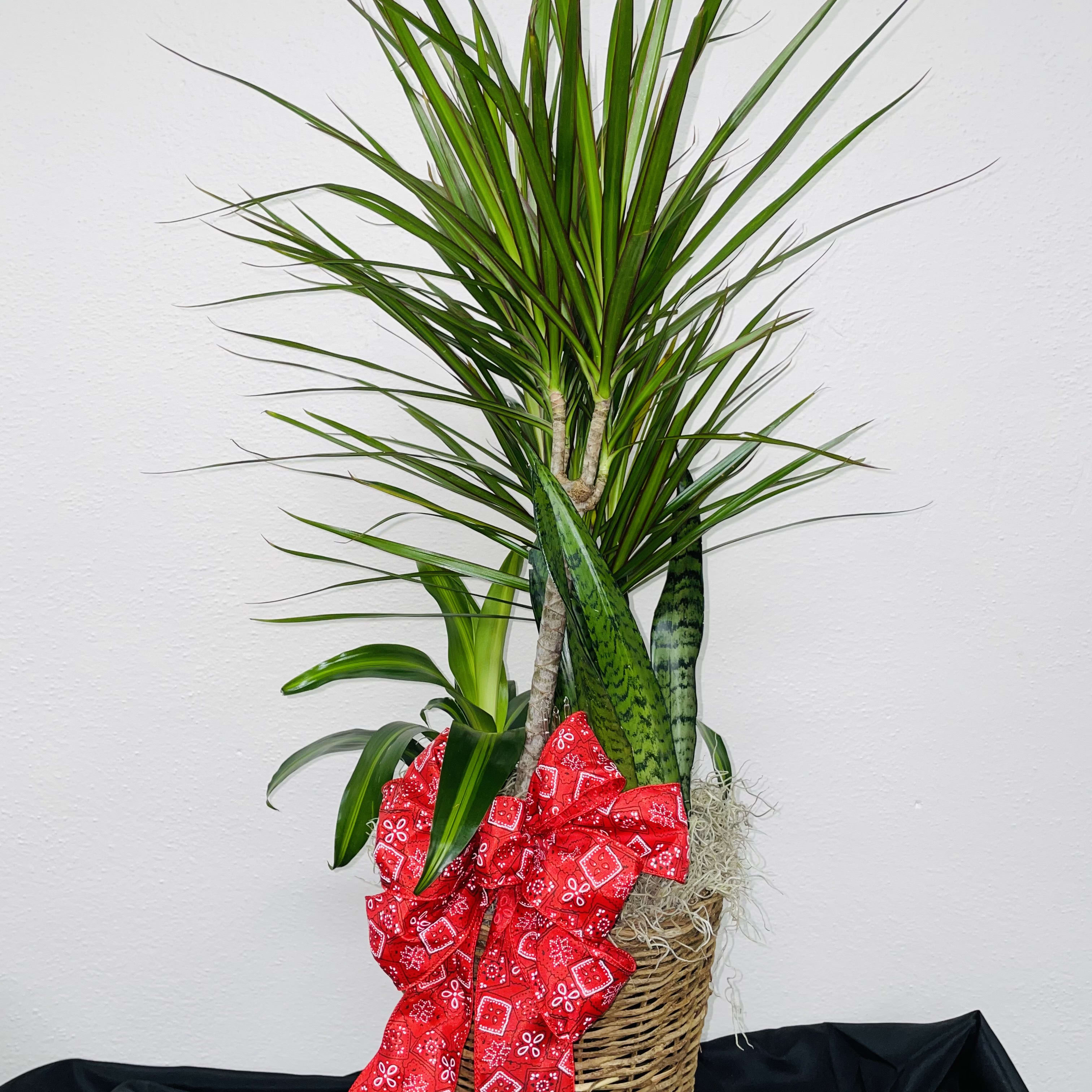 Marginata Flower Bouquet