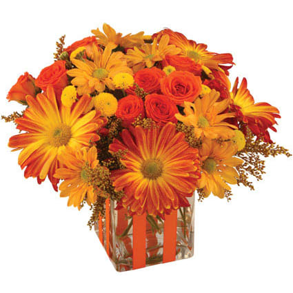 Bonfire Nights Bouquet