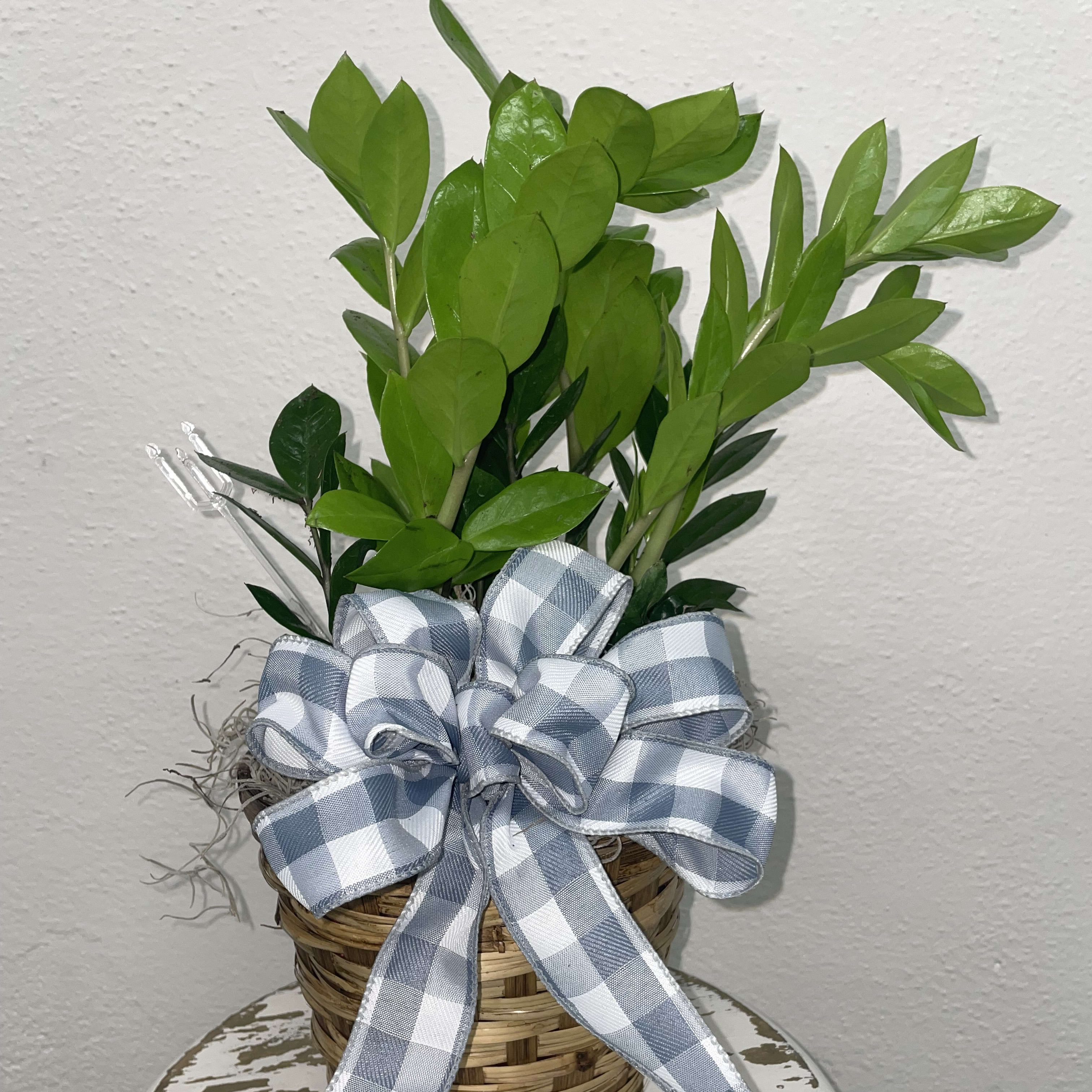 ZZ Plant Flower Bouquet