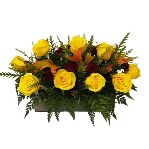 Glowing Yellow Bakers Dozen (13 Roses) R-220