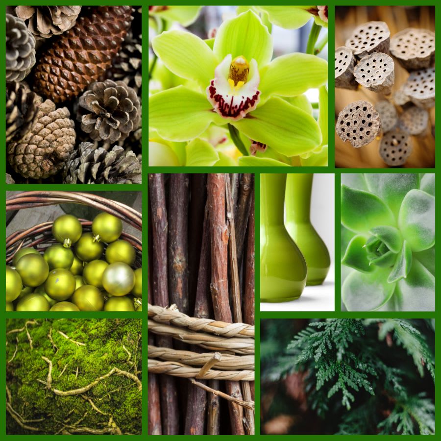 "Northwest Green" Designer's Choice