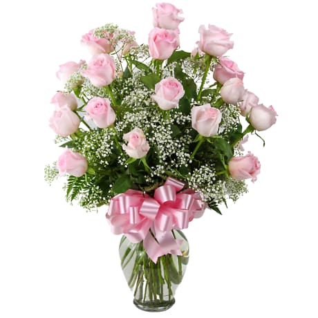 1 Doz Pink Roses
