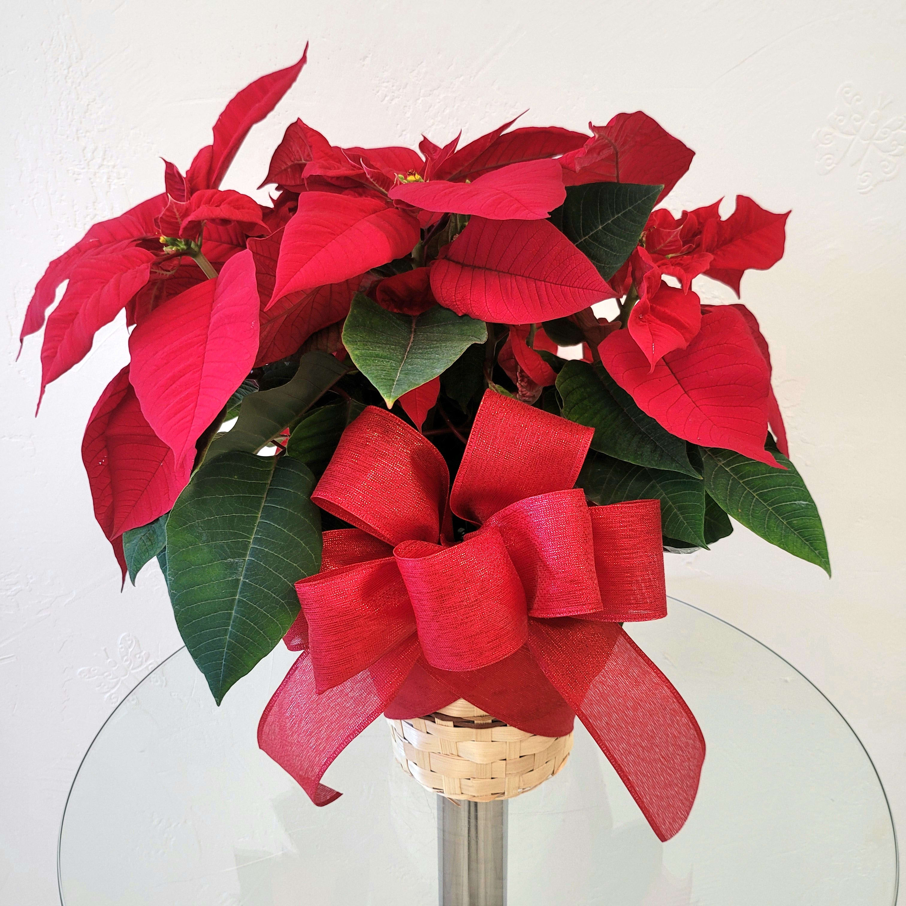Poinsettia Basket Flower Bouquet
