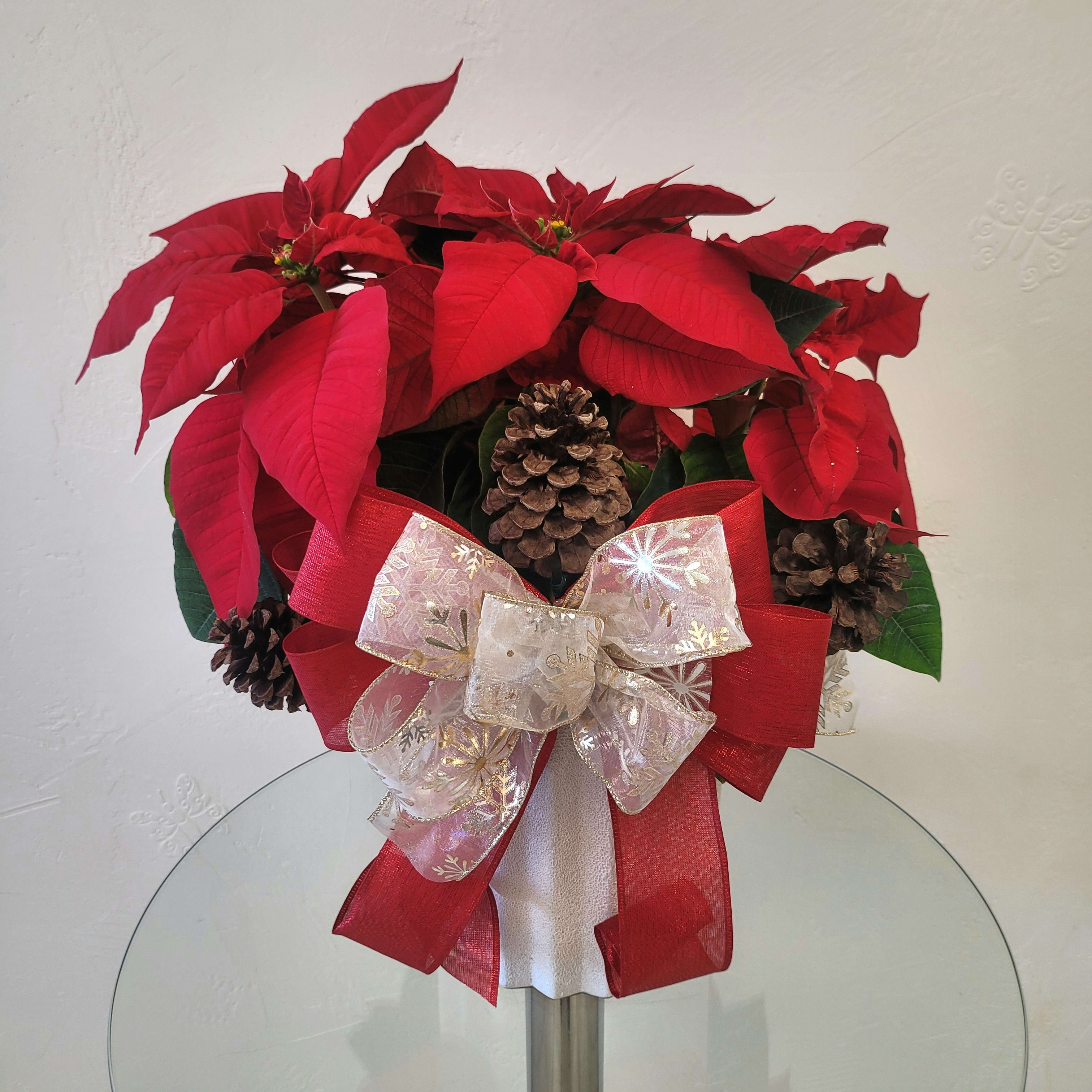 Luxe Poinsettia Flower Bouquet