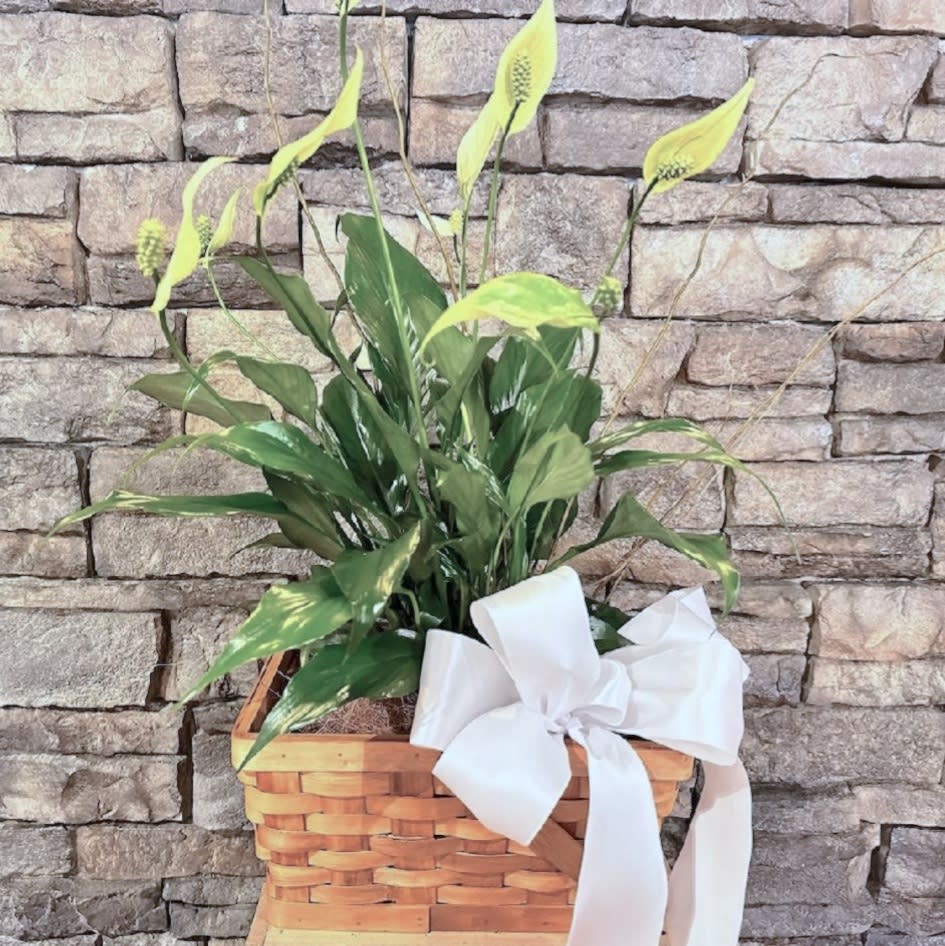 Fleurish Floral & Gift Shop Johnstown Flower Delivery