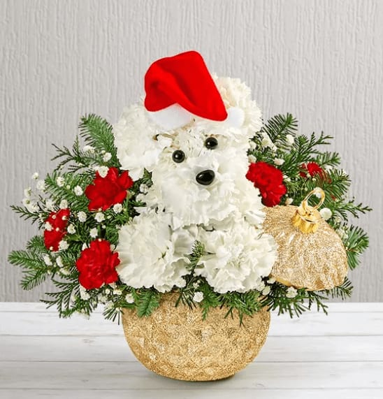 Santa Paws® in the Sparkling Holiday Ornament™