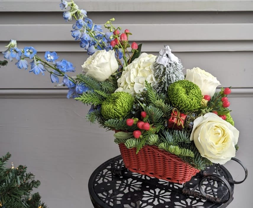 Dashing through the Snow