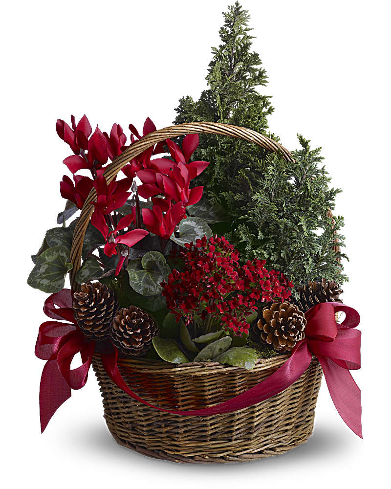 Tannenbaum Basket