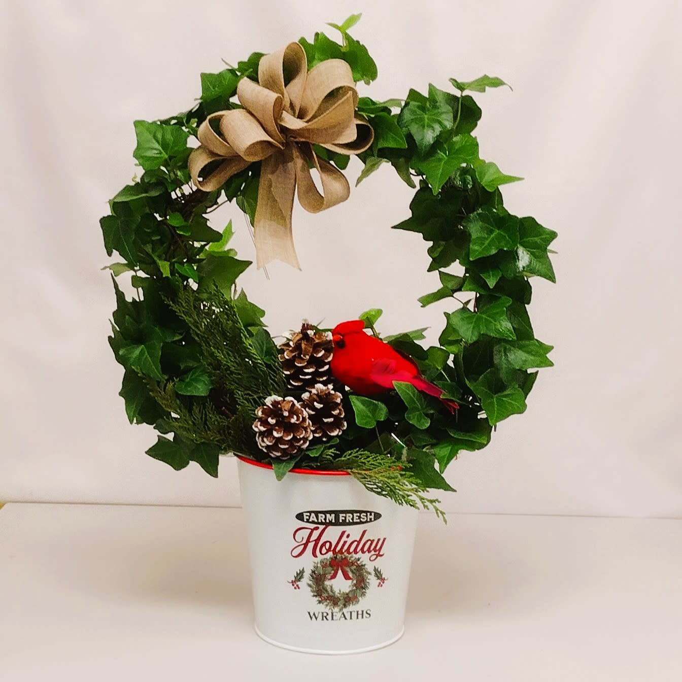 Ivy Wreath Plant