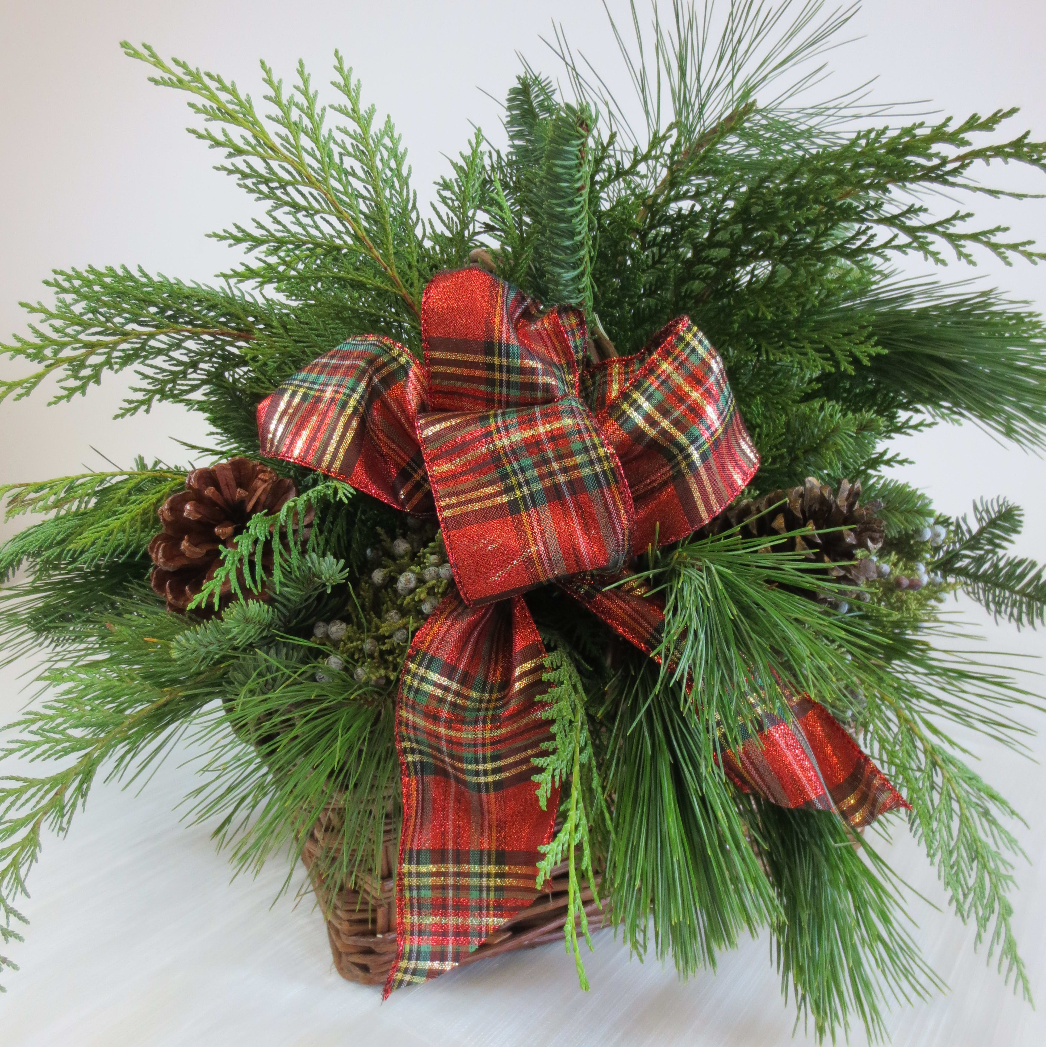 Evergreen Basket