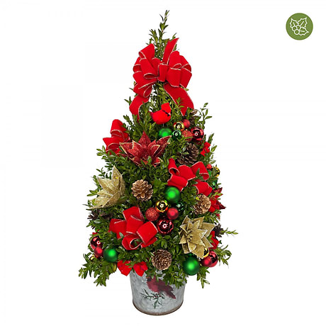 Boxwood Fully Decked