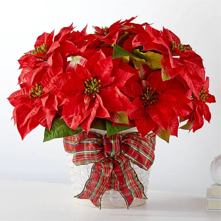 Happiest Holidays Poinsettia Flower Bouquet