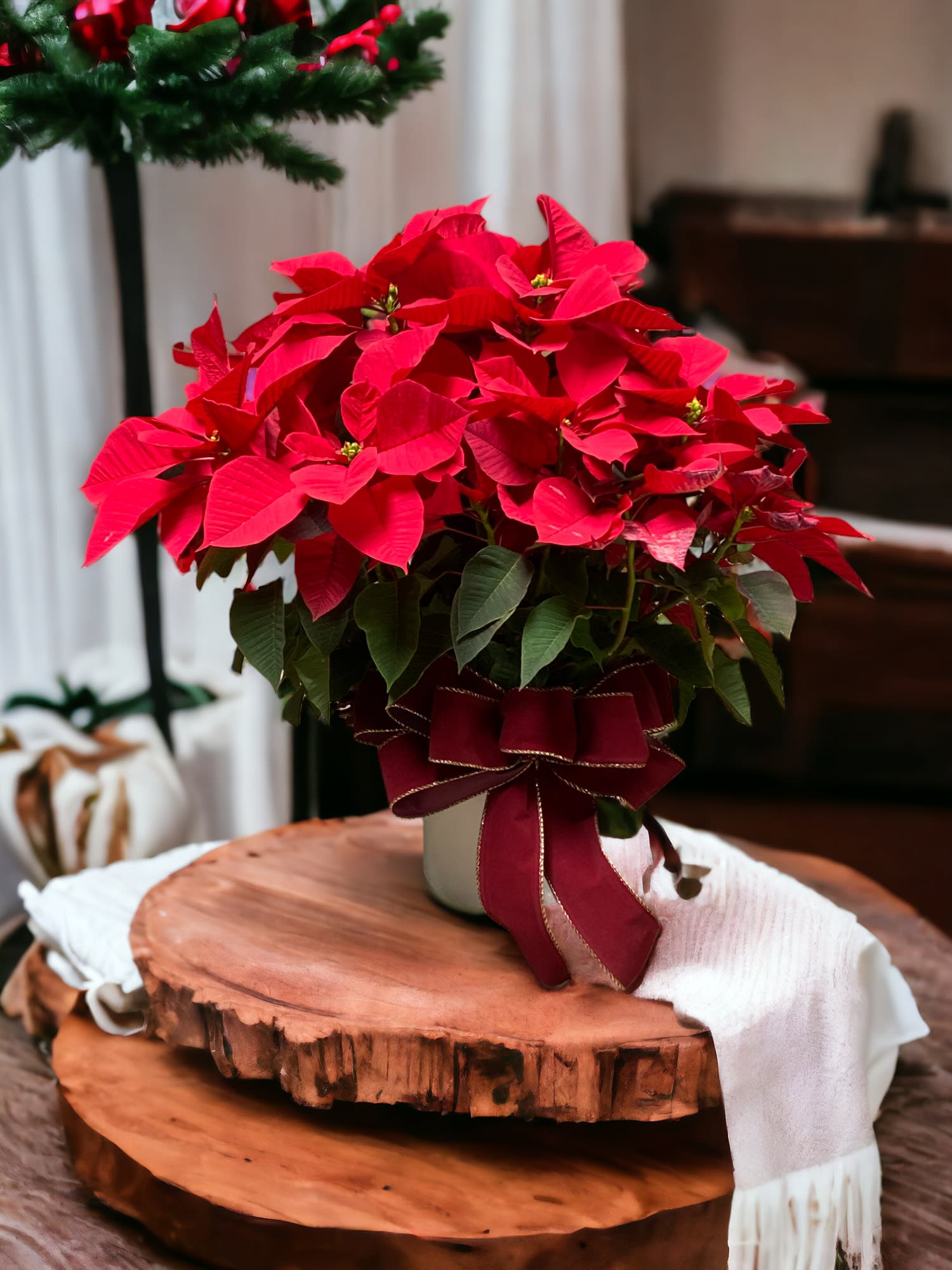 Holiday Poinsettia Arrangement