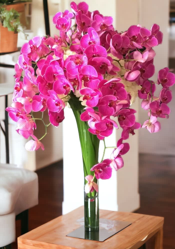 Phalaenopsis vase