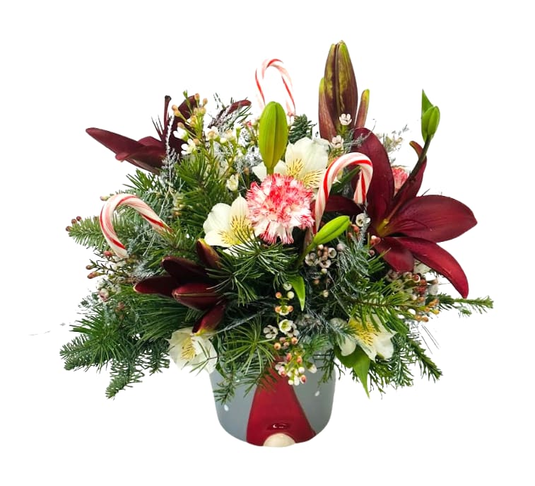 I'll Be Gnome For Christmas H-7111