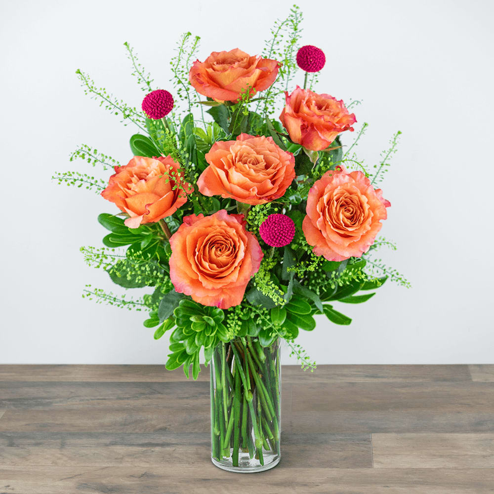 Half Dozen Wild and Free Spirit Roses Flower Bouquet