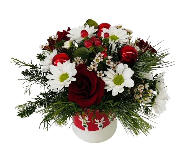 Reindeer Radiance Blooms H-7106