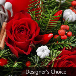 Designers Choice  Christmas