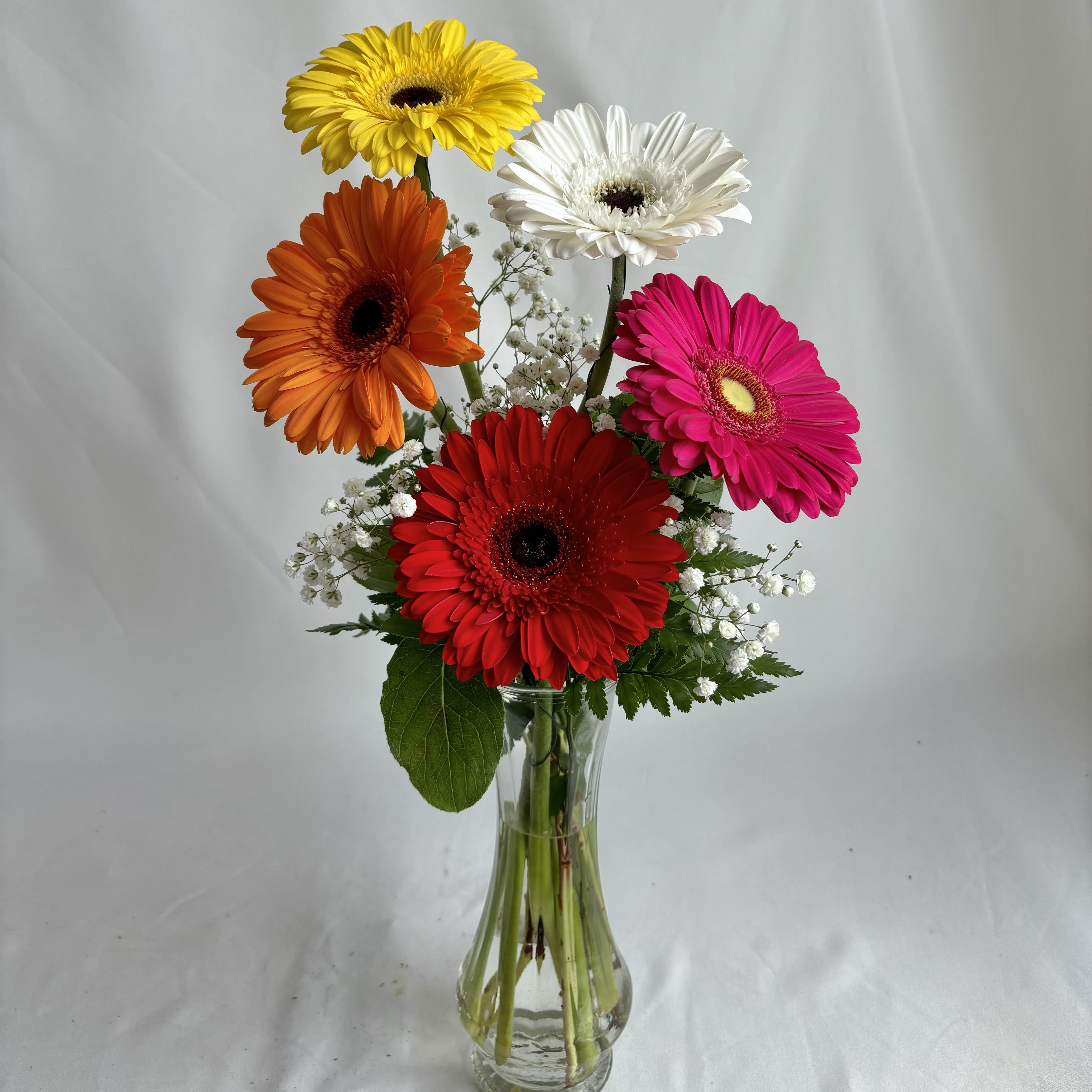 Gorgeous Gerberas