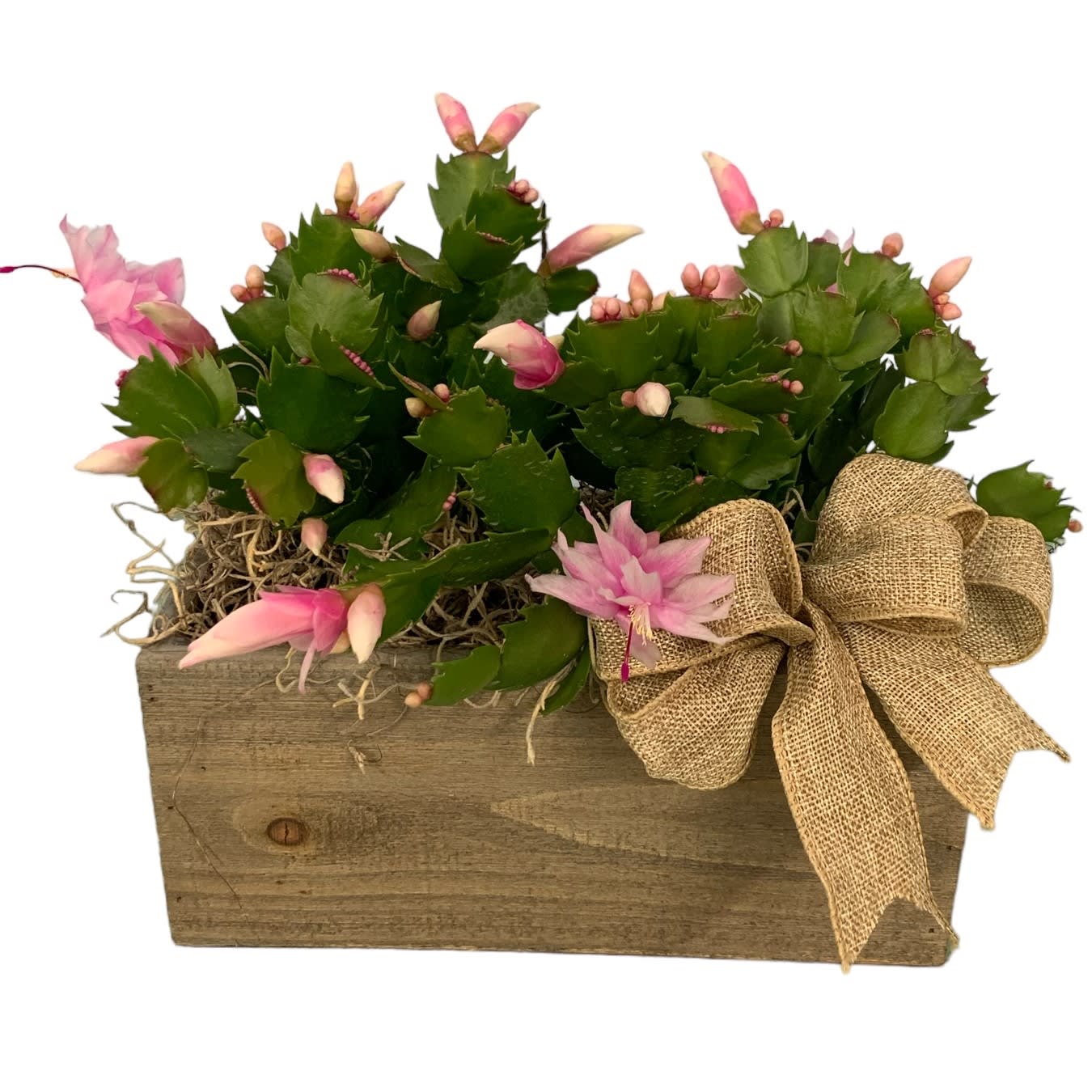 Christmas Cactus Flower Bouquet