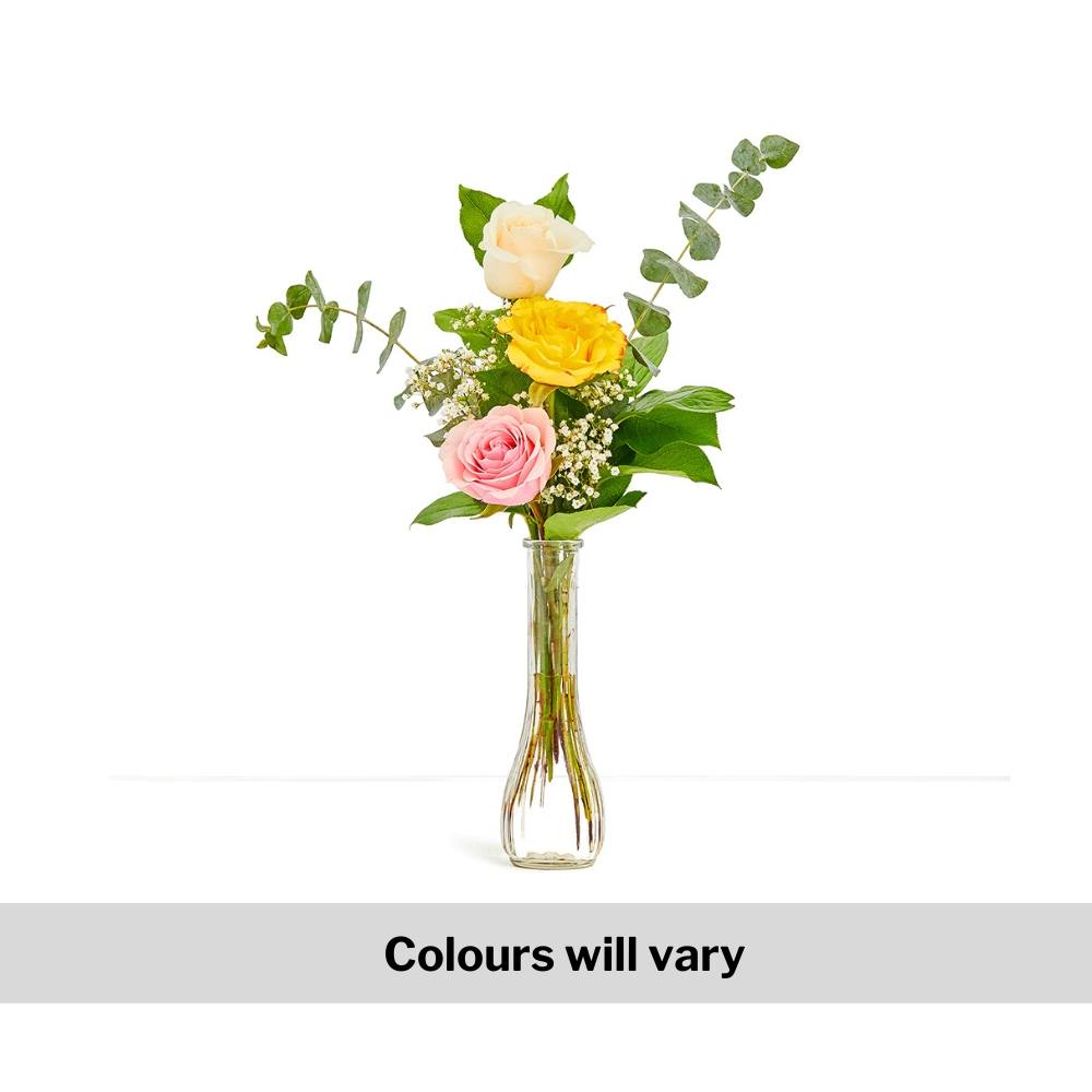 Traditional Three Coloured Roses