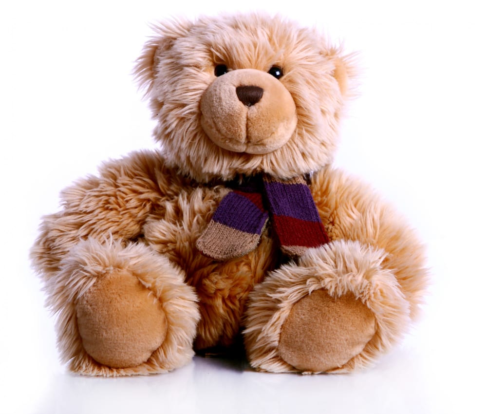 Assorted Stuffed Animal (picture for illustration)