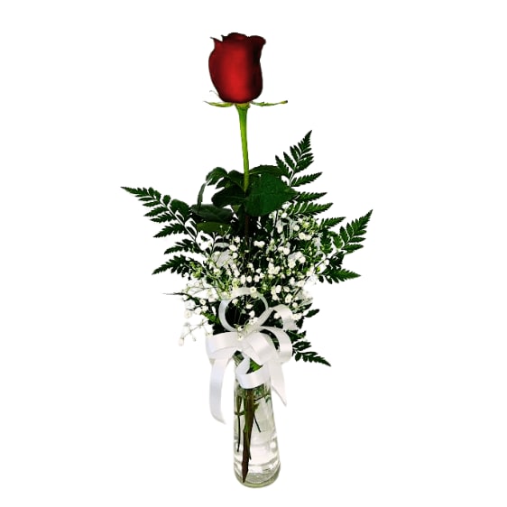 1 Red Rose Bud Vase VM-1702