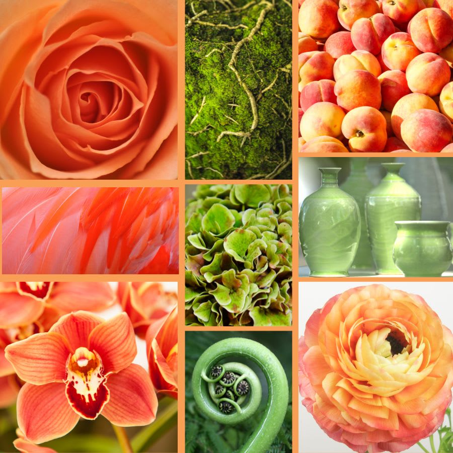 Peachy Keen - Designer's Choice