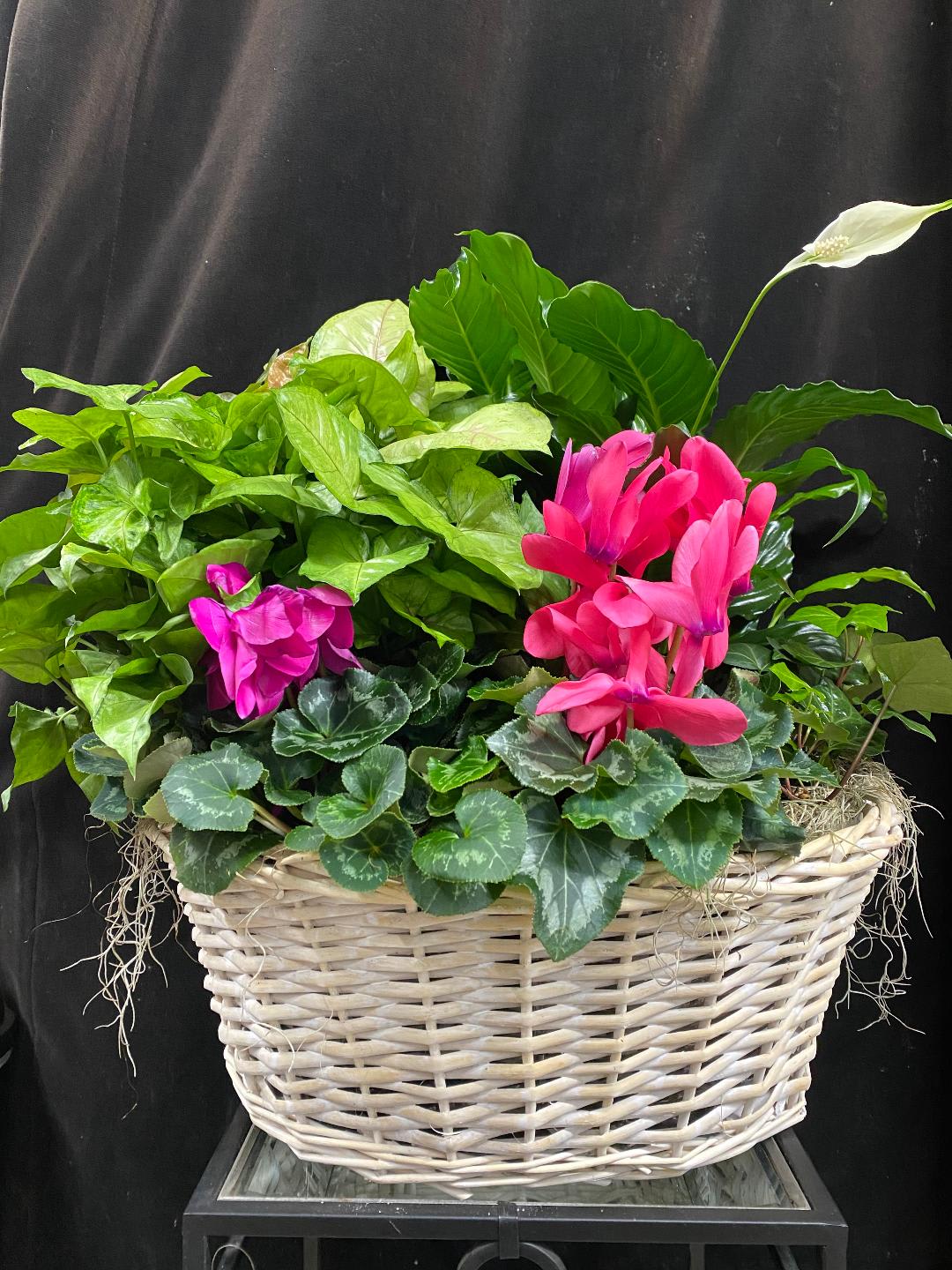 Algonquin IL Florist FREE Flower Delivery in Algonquin IL Town