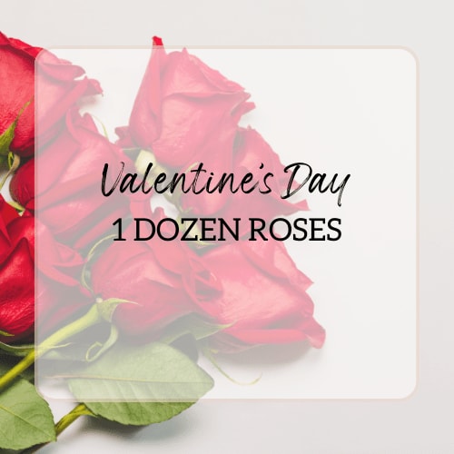 Valentine's Roses One Dozen