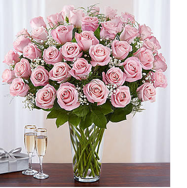 Two Dozen Premium Long Stem Pink Roses Flower Bouquet