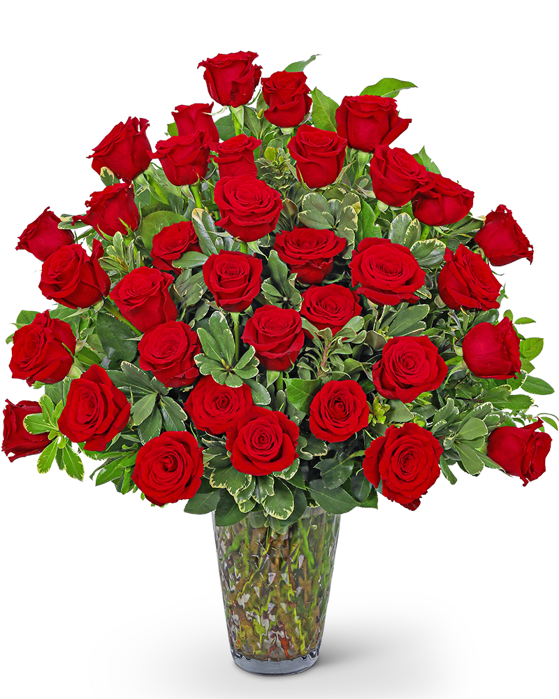 Three Dozen Elegant Red Roses Flower Bouquet