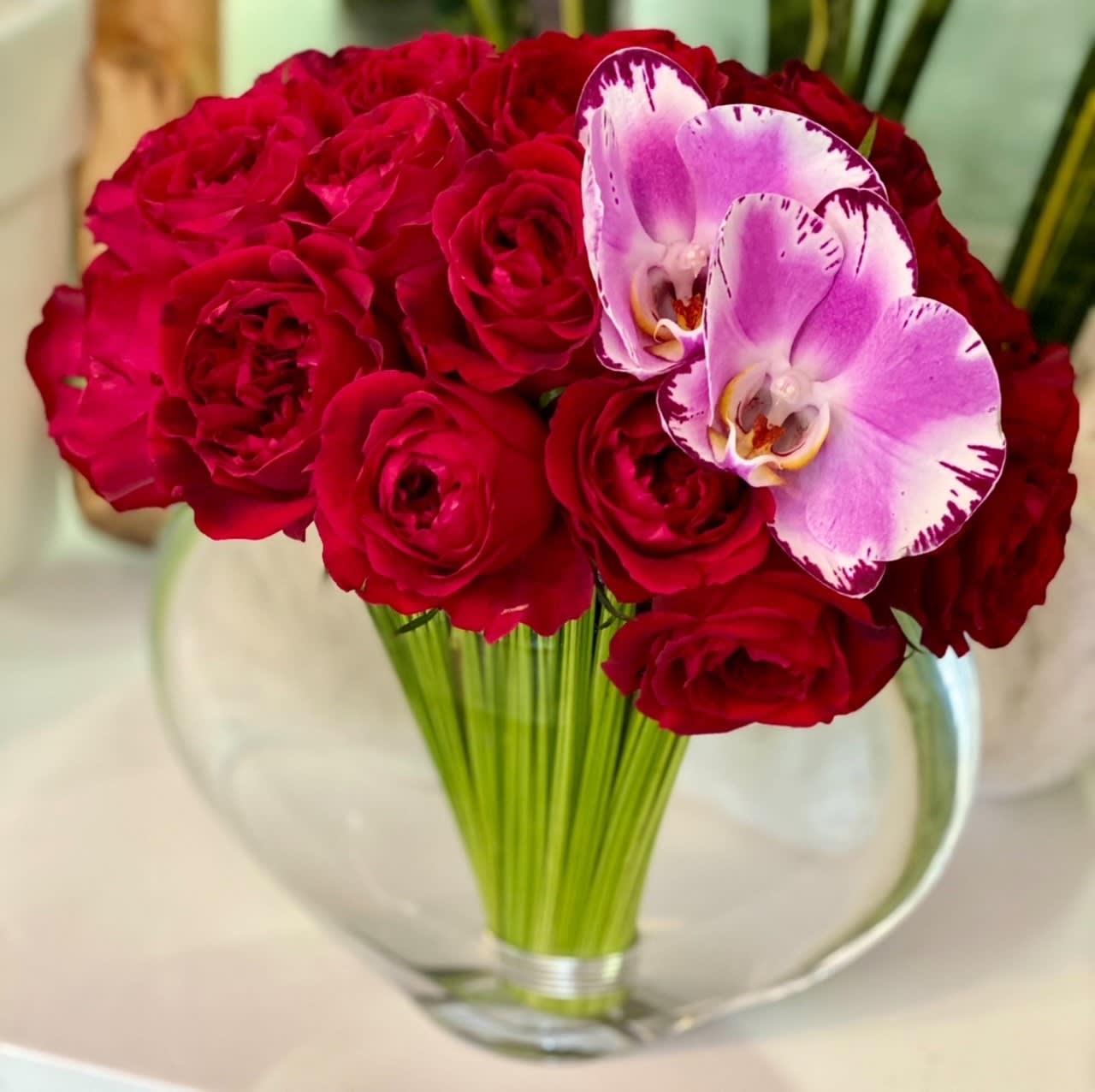 Miami Beach Florist Flower Delivery Miami Beach, FL by Pistils and Petals