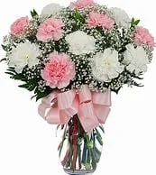 Pretty in Pink and White Carnations