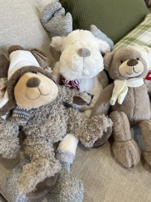 Large Stuffed Animal