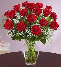 Two Dozen Red Roses in a Vase