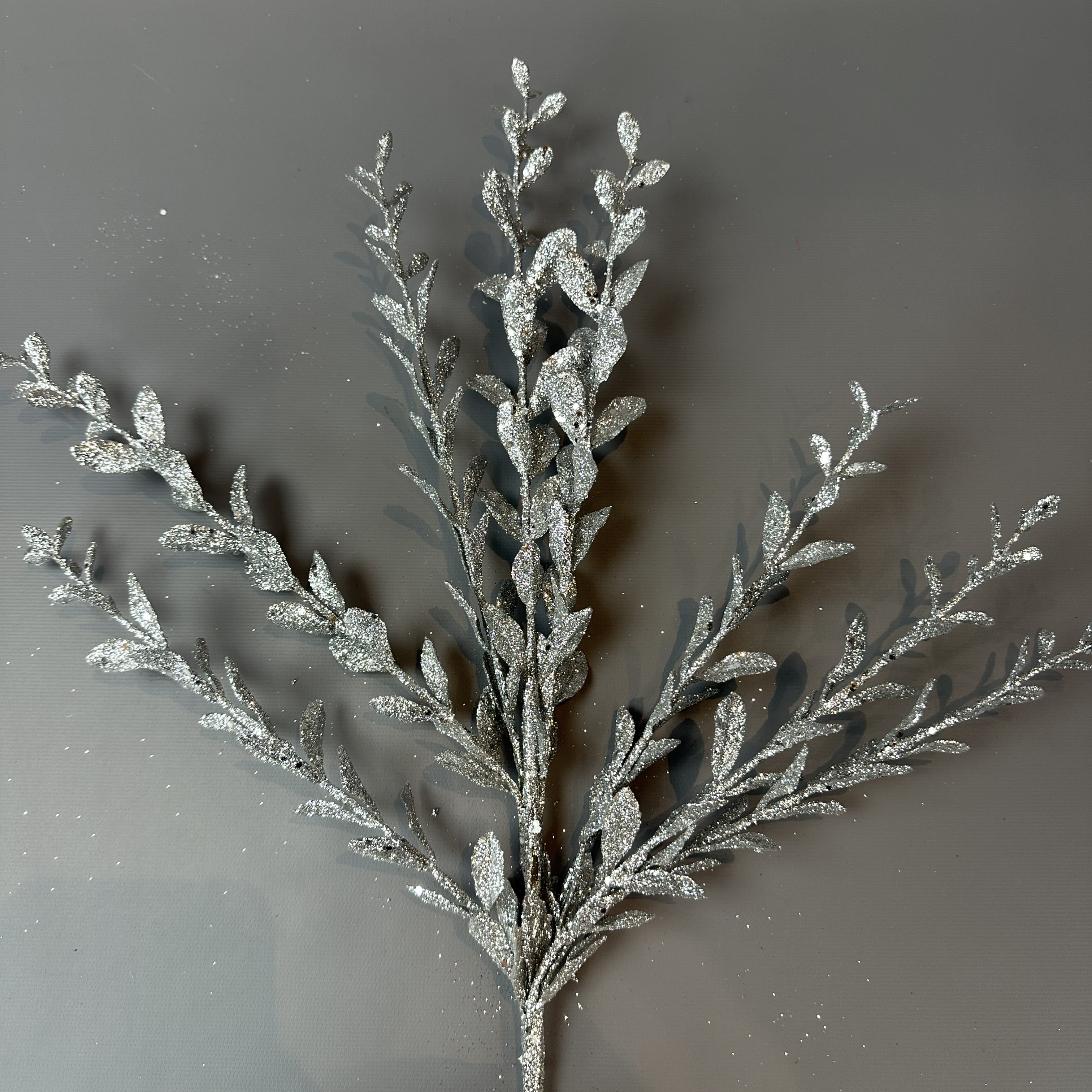 GLITTER PITTISPORUM SPRAY 22''L