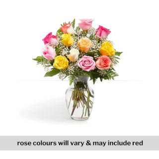 Timeless - One Dozen Mixed Colour Roses