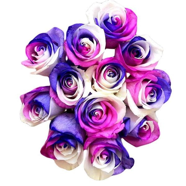 Unicorn Tinted Roses Flower Bouquet