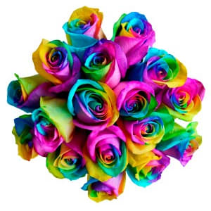 Rainbow Tinted Roses Flower Bouquet