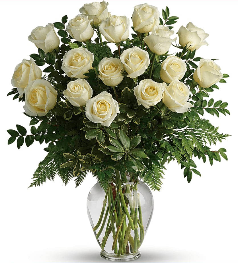 White Horse - One Dozen White Roses Traditional Cut