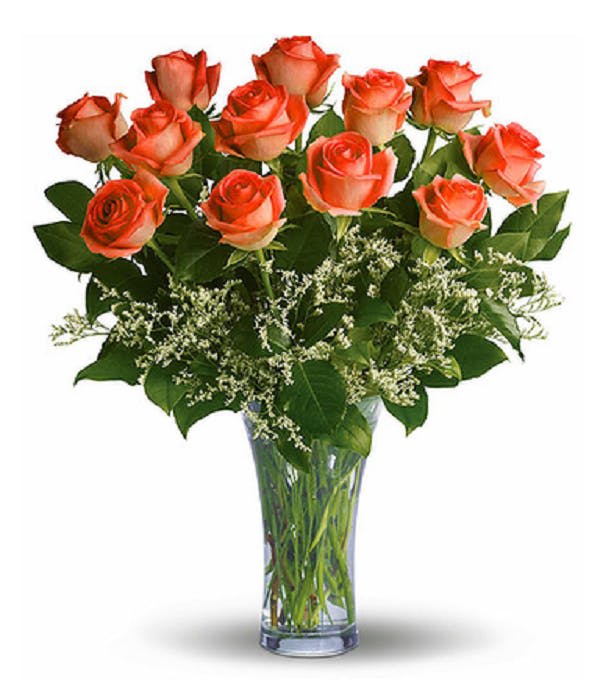 Premium Orange Roses