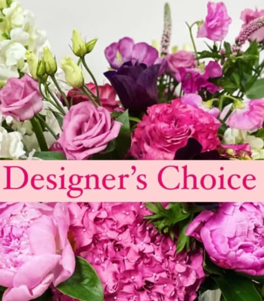 Designers Choice