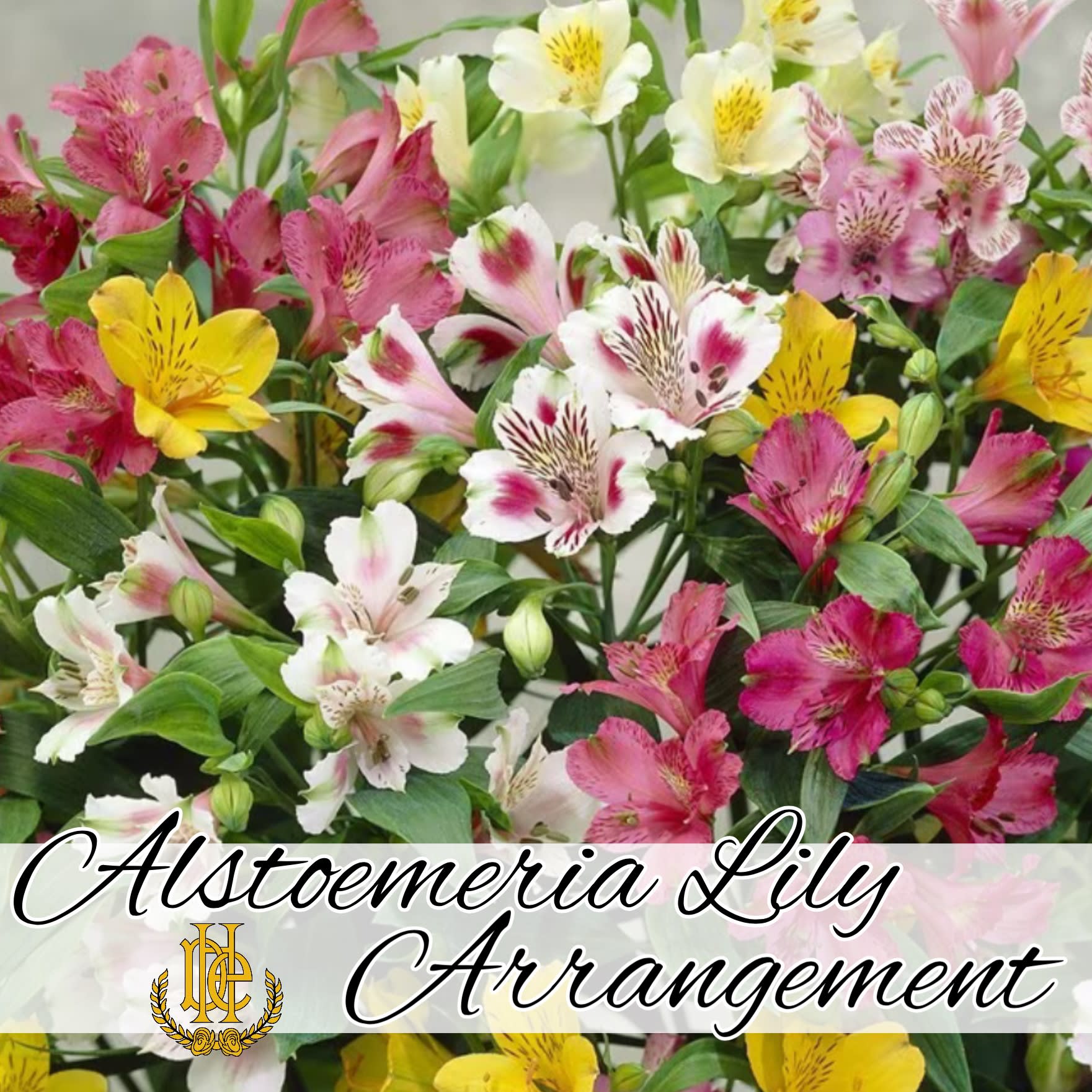 Alstroemeria Arrangement in A Vase