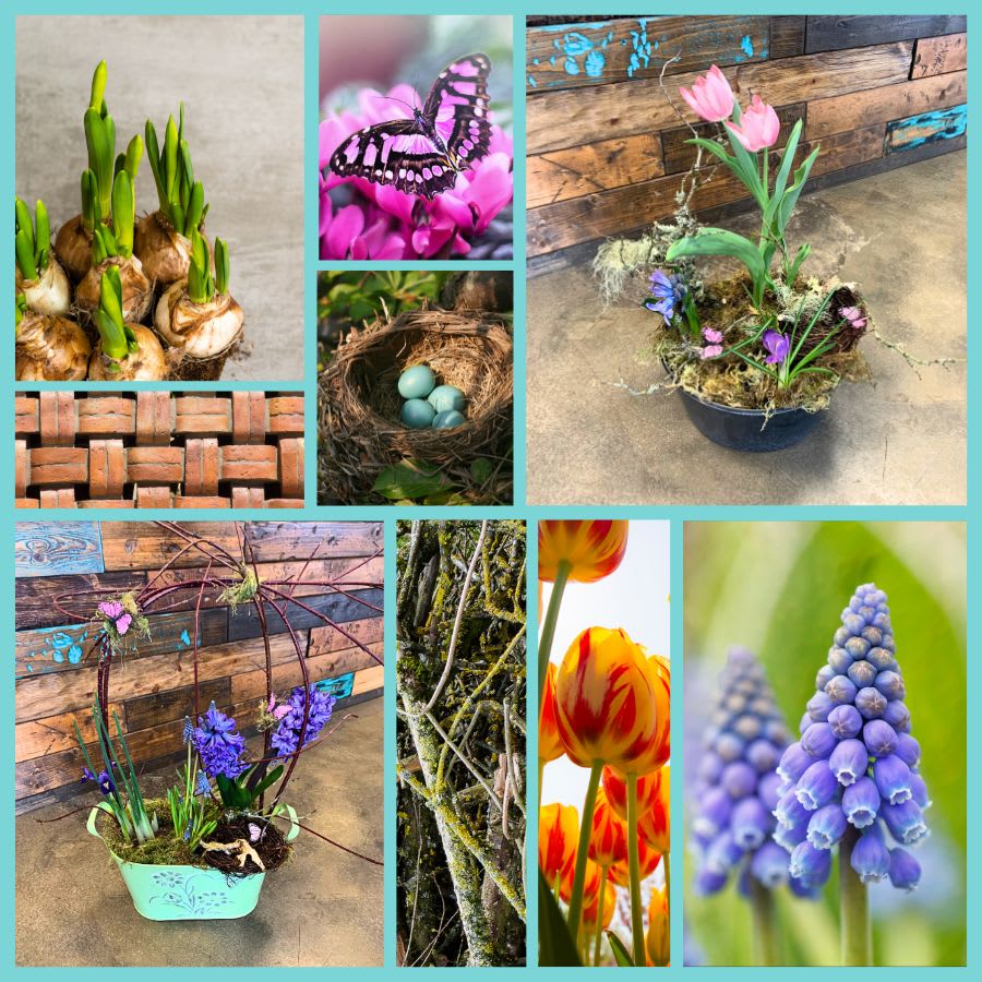 Spring Bulb Gardens Flower Bouquet