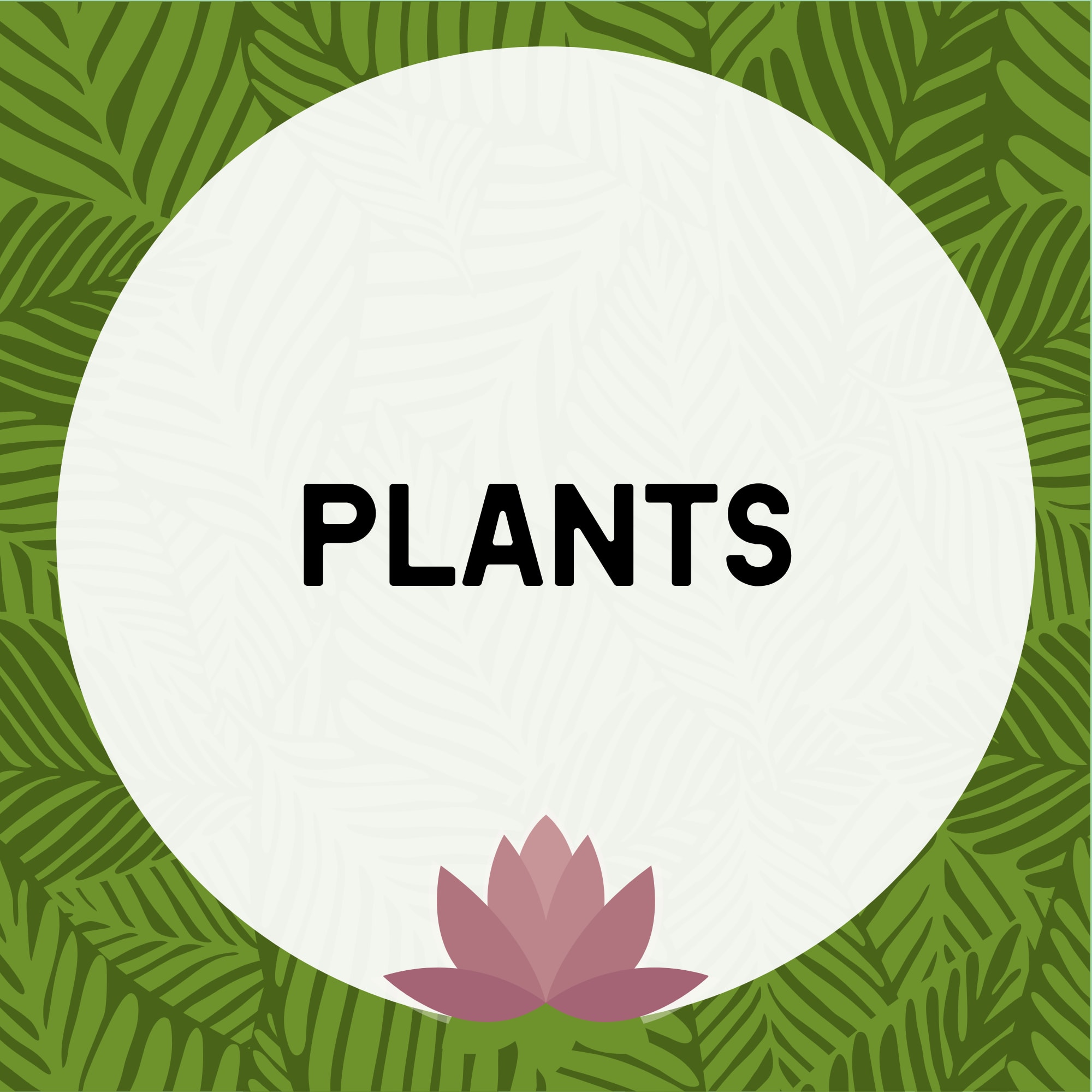 Plants