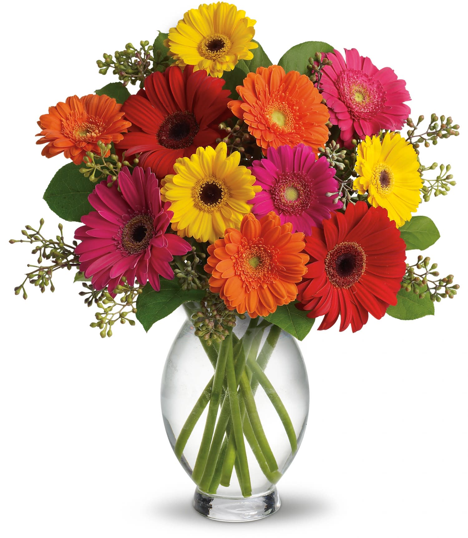 Teleflora's Gerbera Brights Flower Bouquet