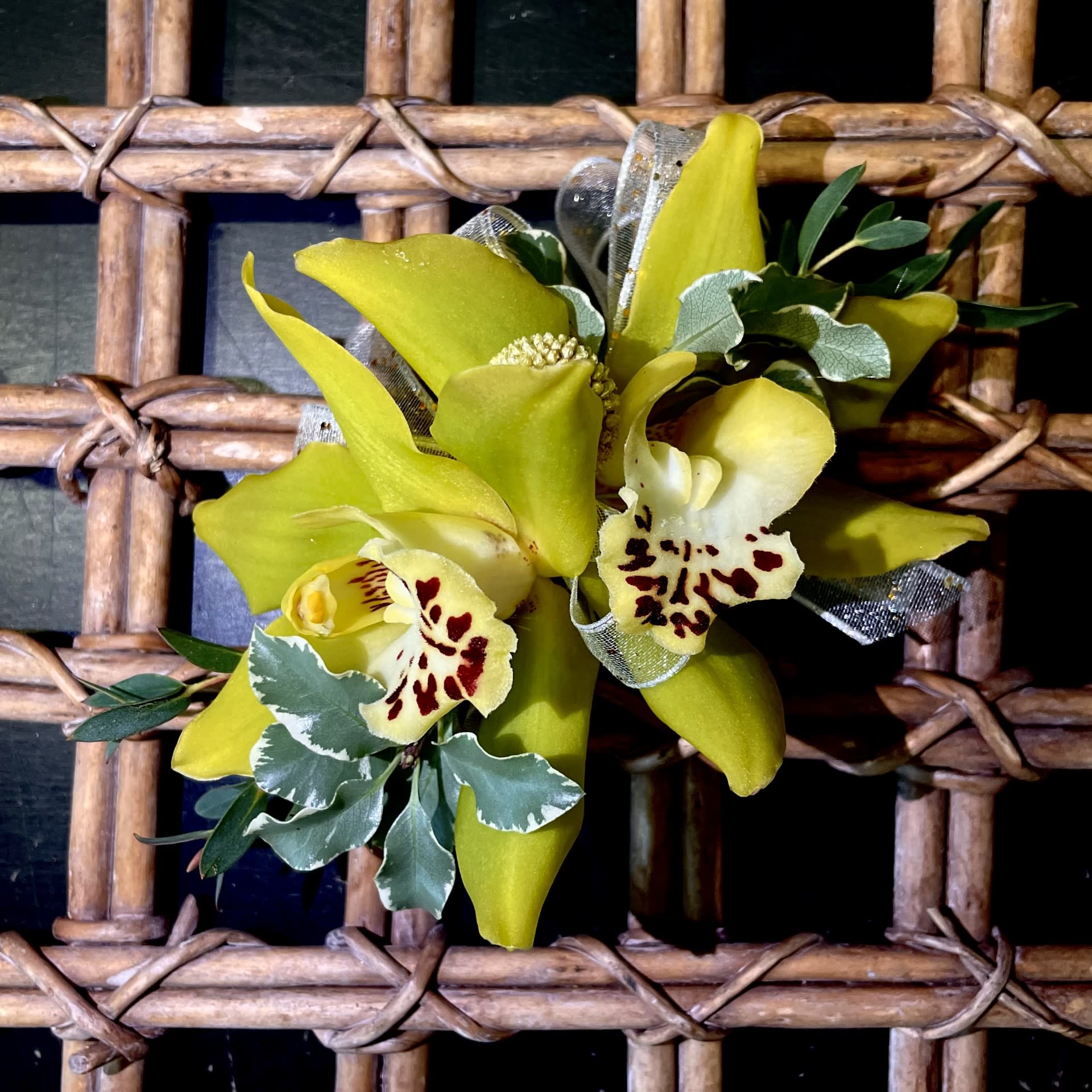 Green Cymbidium Corsage