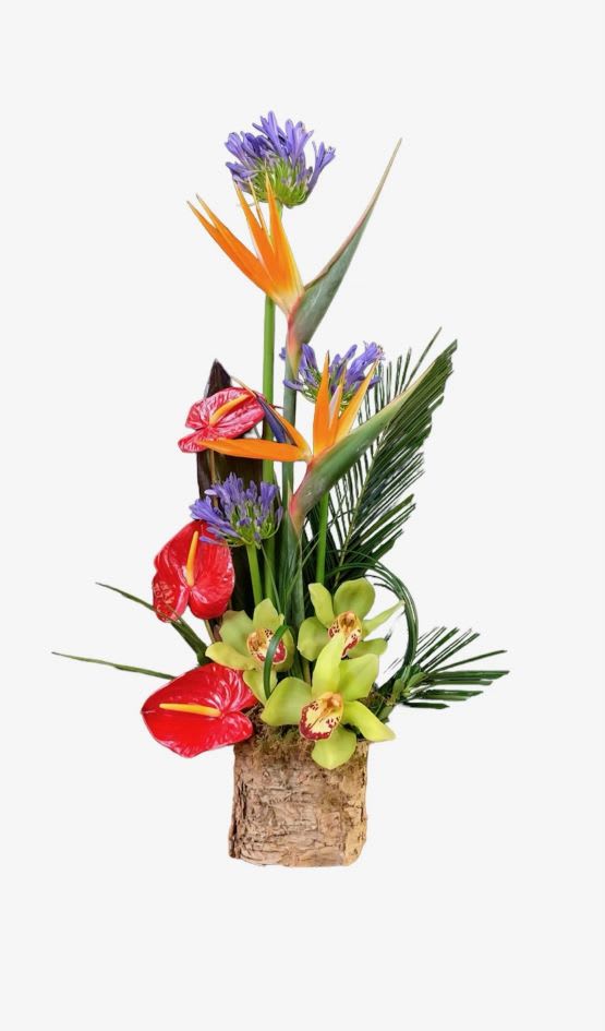 ‘Lanui’ Hawaiian Holiday Flowers